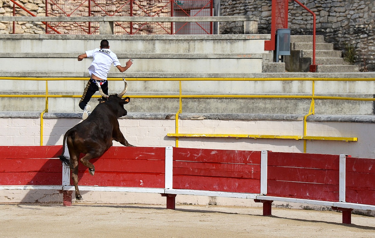 到了充分发