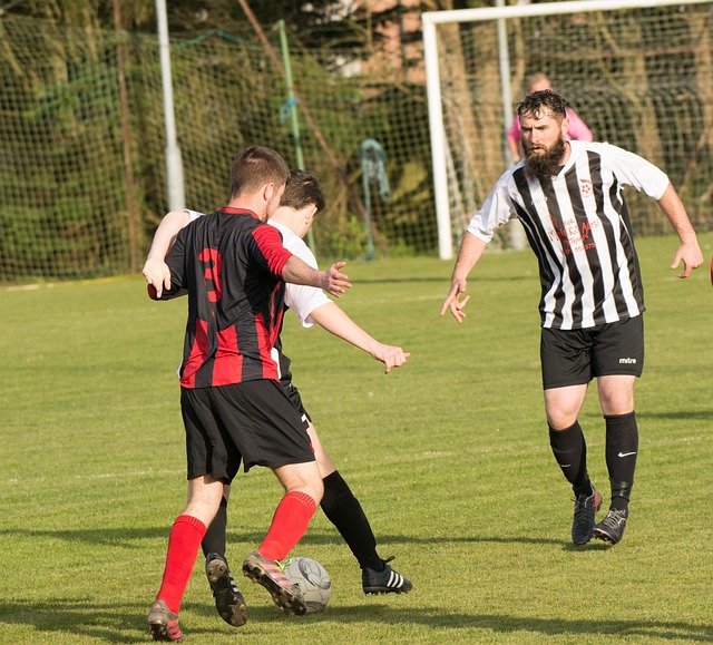 再次组成了 再次组成了