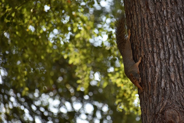 那不仅会让 那不仅会让