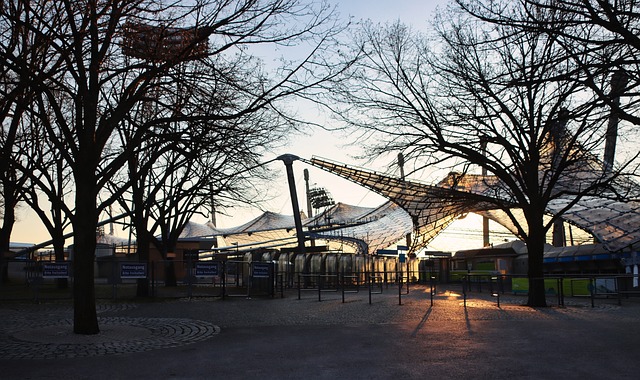 搏与胜利 搏与胜利